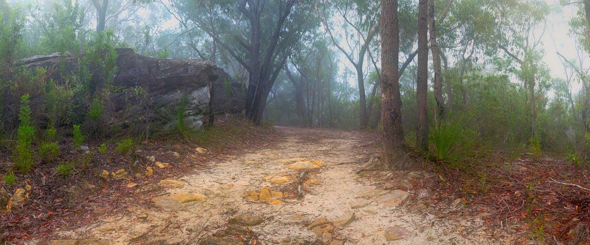 Andrew Barnes Landscape Photography The Path Ahead Berowra National Park