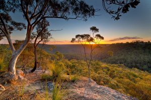 Berowra, Australian Landscape Photography, Berowra Waters, Berowra Valley National Park
