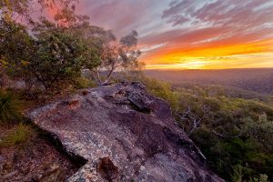 See Forever, Berowra, Australian Landscape Photography, Berowra Waters, Berowra Valley National Park