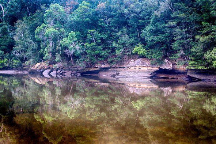 Crosslands, Hornsby, Hornsby Shire, Berowra Valley Regional Park, Landscape Photography