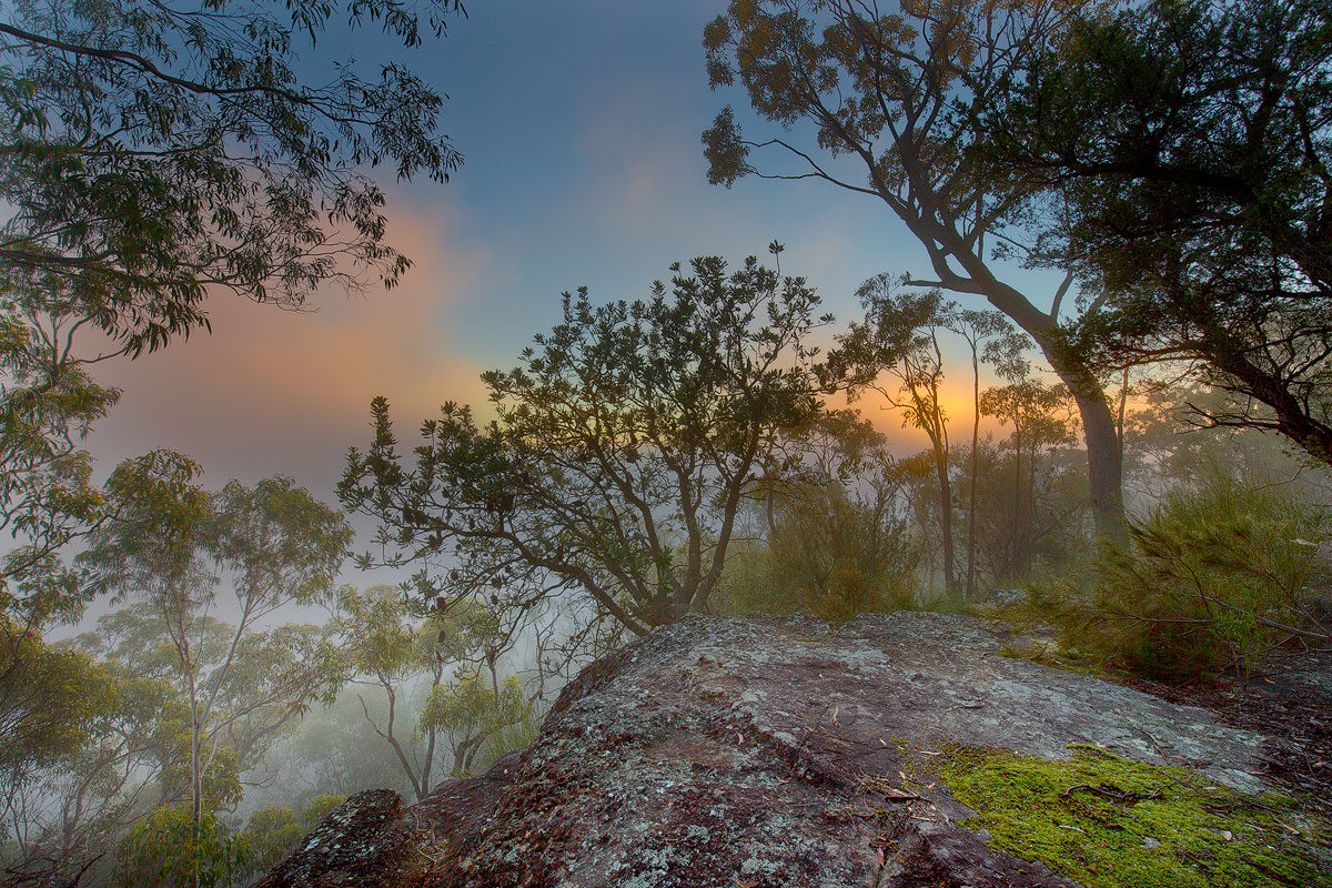 Berowra, Berowra Valley National Park, Berowra Waters, Sunset, Landscape Photography, Landscape Photography Sydney