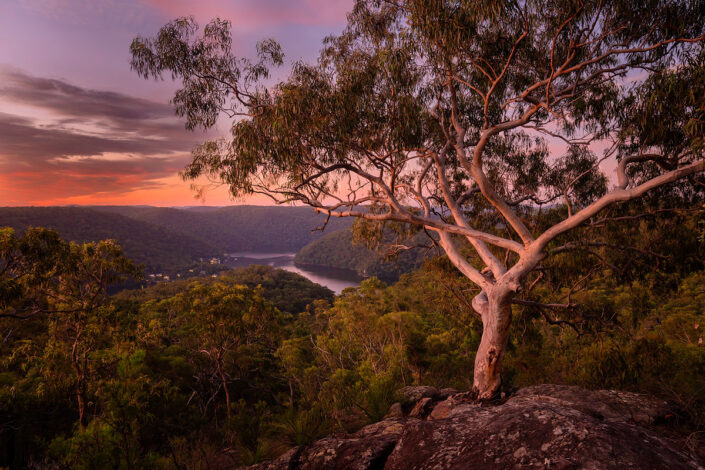 Sunse, looking into Berowra Valley National Park