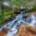 The top tier of Somersby Falls looking like a Fairy Glen