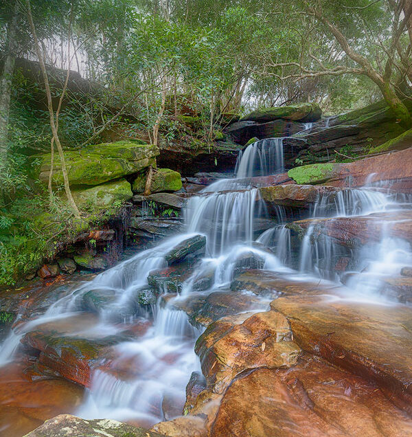 The top tier of Somersby Falls looking like a Fairy Glen