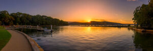 Parsley Bay Golden Dawn