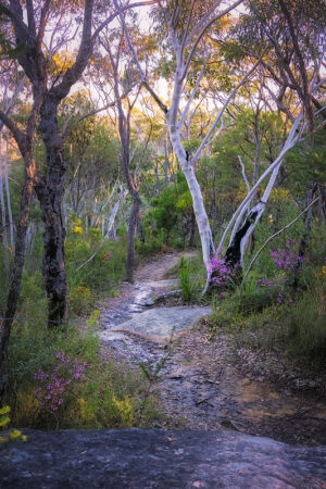 A Spring Walk