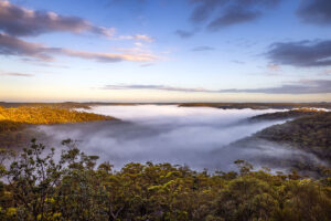 Gold and Mist